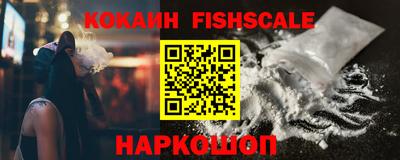 гидра Камышлов