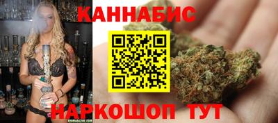гидра Камышлов