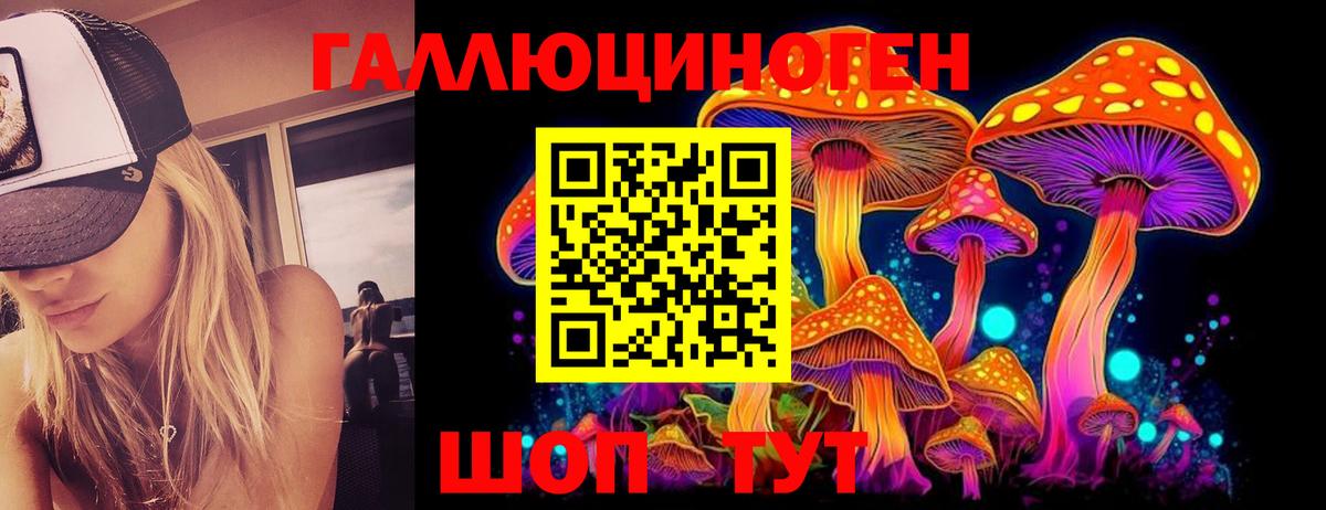 Галлюциногенные грибы Cubensis Дятьково