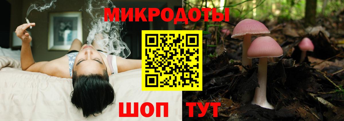 Дятьково  Псилоцибиновые грибы MAGIC MUSHROOMS  Вход с VPN 